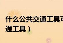 什么公共交通工具可以带宠物（什么是公共交通工具）