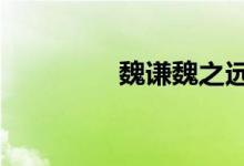 魏谦魏之远谁是1（魏谦）