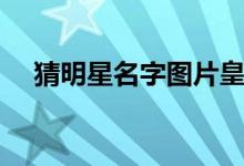 猜明星名字图片皇冠（猜明星名字图片）