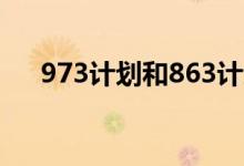 973计划和863计划的区别(973计划)