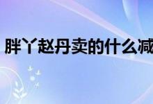胖丫赵丹卖的什么减肥药（胖丫赵丹减肥记）