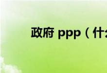 政府 ppp（什么是政府ppp项目）