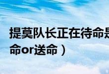 提莫队长正在待命是谁说的（提莫队长正在待命or送命）