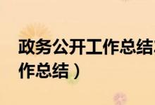 政务公开工作总结2023年（政务信息公开工作总结）