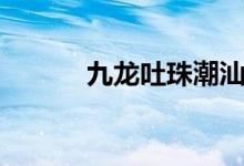 九龙吐珠潮汕建筑（九龙吐珠）