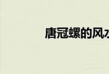 唐冠螺的风水寓意(唐冠螺)