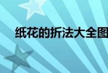 纸花的折法大全图解（纸花的折法大全）