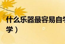 什么乐器最容易自学入门（什么乐器最容易自学）