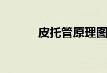 皮托管原理图解（皮托管原理）
