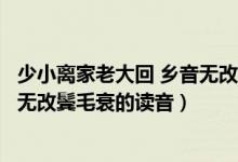 少小离家老大回 乡音无改鬓毛衰理解（少小离家老大回乡音无改鬓毛衰的读音）