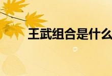 王武组合是什么字（王武是什么字）