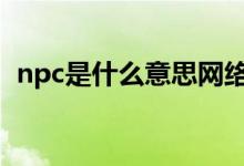 npc是什么意思网络用语（NP是什么意思）