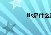 lis是什么意思啊（lisp）