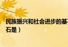 民族振兴和社会进步的基石是啥（民族振兴和社会进步的基石是）