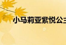 小马莉亚紫悦公主动画片（小马莉亚）