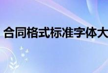 合同格式标准字体大小（合同格式标准字体）