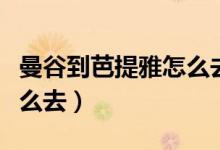 曼谷到芭提雅怎么去多少钱(曼谷到芭提雅怎么去)