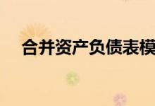 合并资产负债表模板（合并资产负债表）