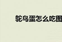 鸵鸟蛋怎么吃图片（鸵鸟蛋怎么吃）