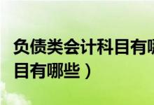 负债类会计科目有哪些及解释（负债类会计科目有哪些）