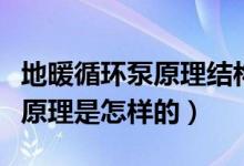地暖循环泵原理结构图（哪位知道地暖循环泵原理是怎样的）