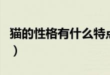 猫的性格有什么特点（猫的性格特点是怎样的）