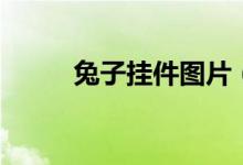 兔子挂件图片（兔子挂载器官网）
