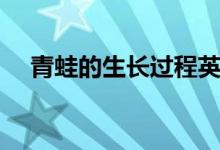 青蛙的生长过程英语（青蛙的生长过程）