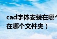 cad字体安装在哪个文件夹里（cad字体安装在哪个文件夹）
