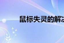 鼠标失灵的解决方法（鼠标失灵）