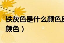 铁灰色是什么颜色皮毛一体的（铁灰色是什么颜色）