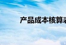 产品成本核算表（产品成本核算）