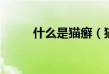 什么是猫癣（猫为什么会得猫癣）