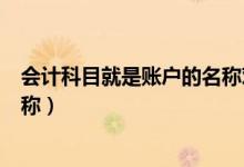 会计科目就是账户的名称对还是错（会计科目就是账户的名称）