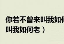 你若不曾来叫我如何老全文阅读（你若不曾来叫我如何老）