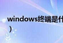 windows终端是什么意思（终端是什么意思）