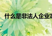什么是非法人企业家（什么是非法人企业）