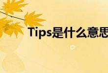 Tips是什么意思（tips是什么意思）