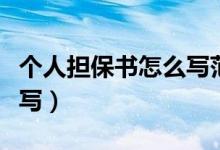 个人担保书怎么写范文图片（个人担保书怎么写）