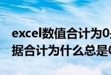 excel数值合计为0是什么原因（excel表格数据合计为什么总是0）