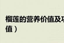 榴莲的营养价值及功效与禁忌（榴莲的营养价值）