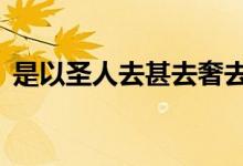 是以圣人去甚去奢去泰是什么意思（sysrq）