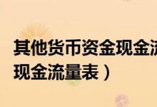 其他货币资金现金流量表附表（其他货币资金现金流量表）
