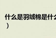 什么是羽绒棉是什么材质（羽绒棉是什么材质）
