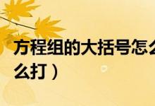 方程组的大括号怎么打的（方程组的大括号怎么打）