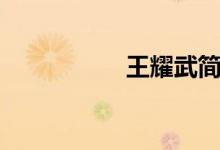 王耀武简介（王曜武）