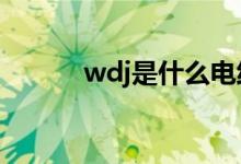 wdj是什么电线（WDJ是什么）