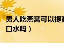 男人吃燕窝可以提高性功能吗（燕窝是燕子的口水吗）