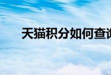 天猫积分如何查询（天猫积分怎么查）