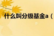 什么叫分级基金a（分级基金a是什么意思）